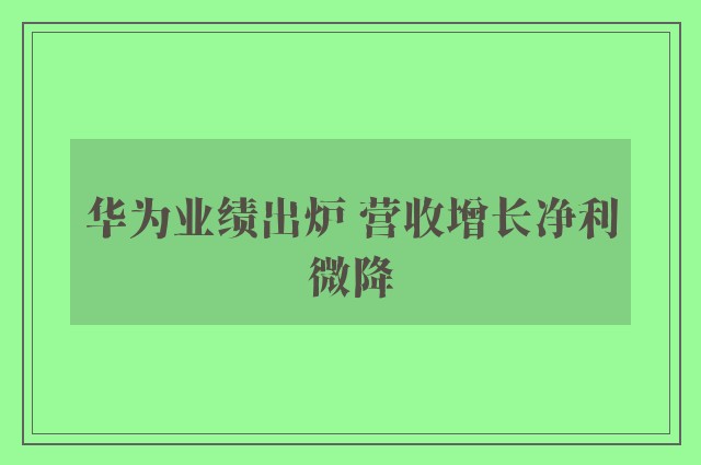 华为业绩出炉 营收增长净利微降