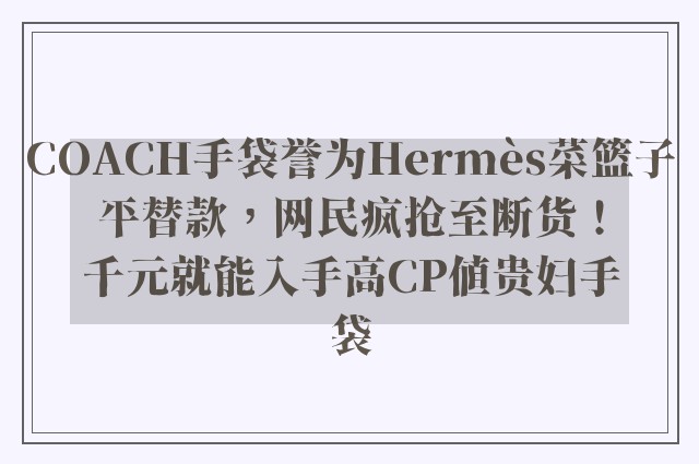 COACH手袋誉为Hermès菜篮子平替款，网民疯抢至断货！千元就能入手高CP值贵妇手袋