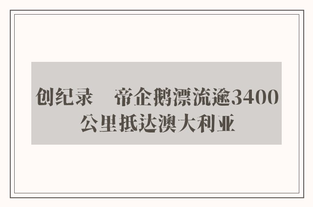 创纪录　帝企鹅漂流逾3400公里抵达澳大利亚