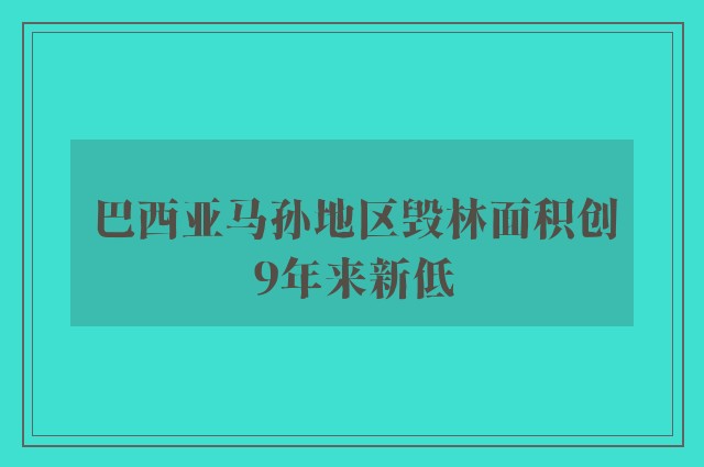 巴西亚马孙地区毁林面积创9年来新低