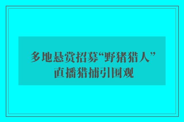 多地悬赏招募“野猪猎人” 直播猎捕引围观