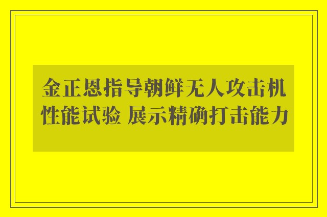 金正恩指导朝鲜无人攻击机性能试验 展示精确打击能力