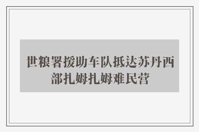 世粮署援助车队抵达苏丹西部扎姆扎姆难民营