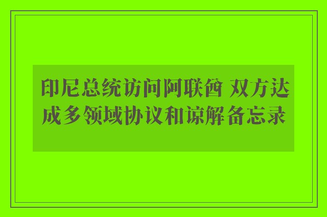 印尼总统访问阿联酋 双方达成多领域协议和谅解备忘录