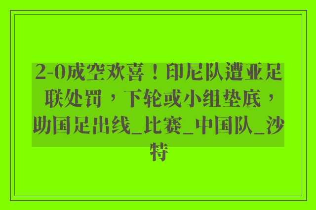 2-0成空欢喜！印尼队遭亚足联处罚，下轮或小组垫底，助国足出线_比赛_中国队_沙特