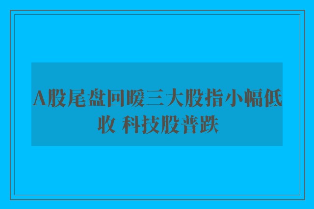 A股尾盘回暖三大股指小幅低收 科技股普跌