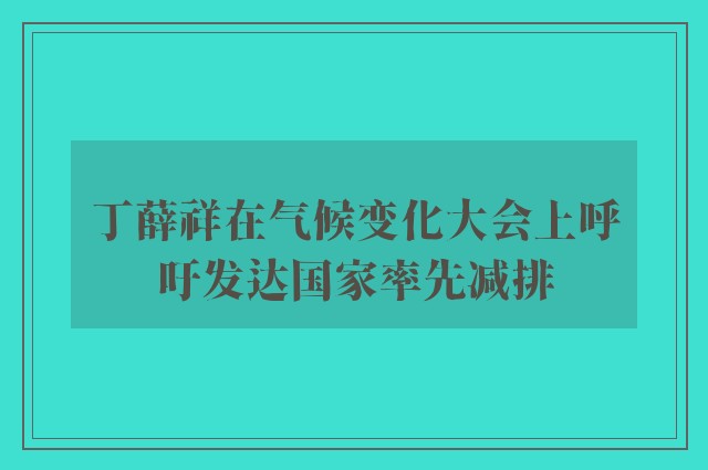 丁薛祥在气候变化大会上呼吁发达国家率先减排