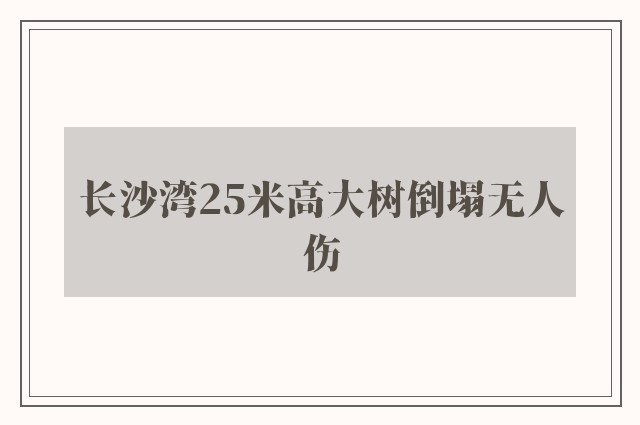 长沙湾25米高大树倒塌无人伤